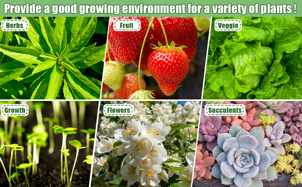 Hydroponic Garden System