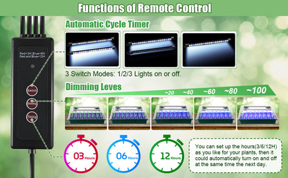 Hydroponic Garden System