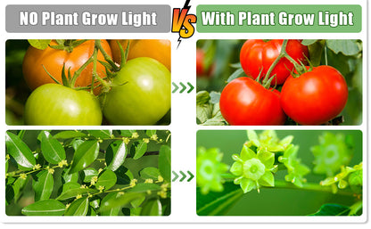 Hydroponic Garden System
