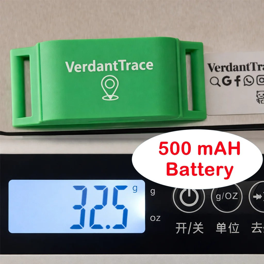 4G Pet Tracker