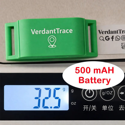 4G Pet Tracker