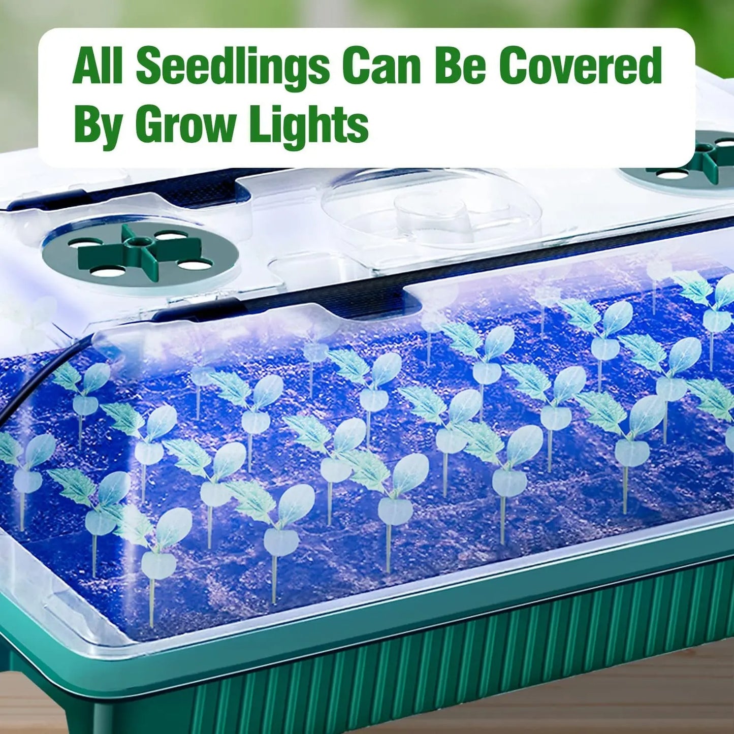Hydroponic Garden System