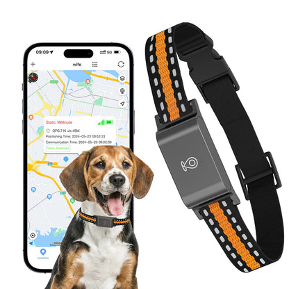 4G Pet Tracker