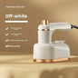 Portable Steam Iron